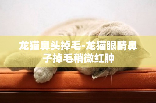 龍貓鼻頭掉毛-龍貓眼睛鼻子掉毛稍微紅腫