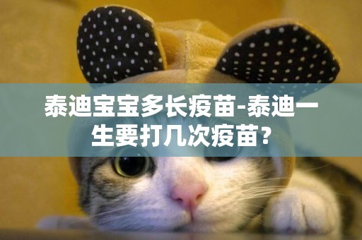 泰迪寶寶多長疫苗-泰迪一生要打幾次疫苗？
