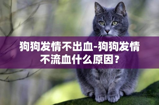 狗狗發情不出血-狗狗發情不流血什么原因？