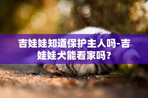 吉娃娃知道保護主人嗎-吉娃娃犬能看家嗎？