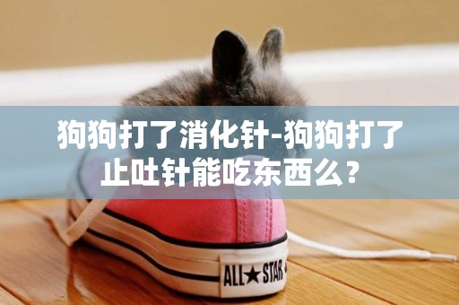 狗狗打了消化針-狗狗打了止吐針能吃東西么？