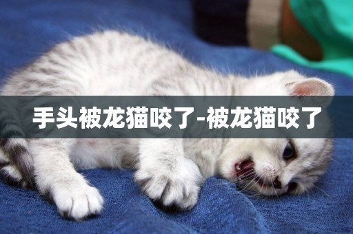 手頭被龍貓咬了-被龍貓咬了