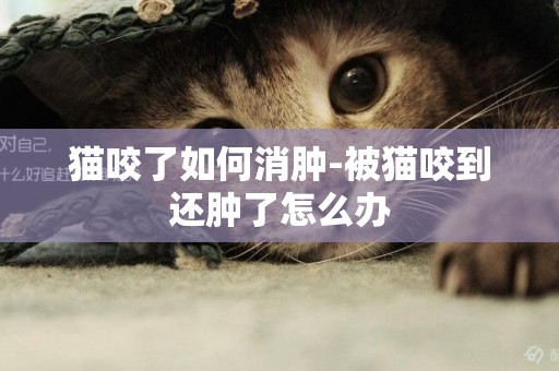 貓咬了如何消腫-被貓咬到還腫了怎么辦