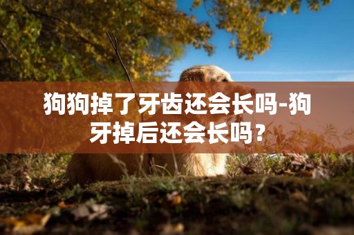 狗狗掉了牙齒還會長嗎-狗牙掉后還會長嗎？