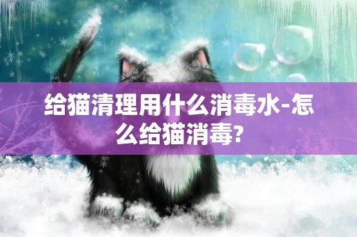 給貓清理用什么消毒水-怎么給貓消毒?