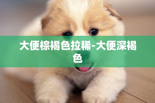 大便棕褐色拉稀-大便深褐色