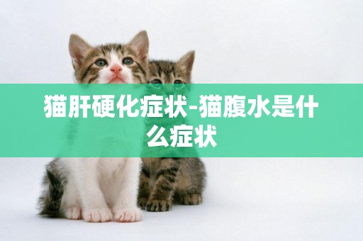 貓肝硬化癥狀-貓腹水是什么癥狀