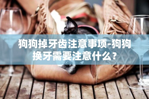 狗狗掉牙齒注意事項-狗狗換牙需要注意什么？