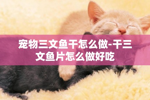 寵物三文魚干怎么做-干三文魚片怎么做好吃