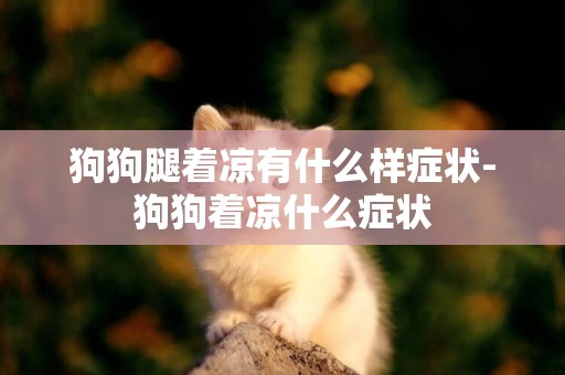 狗狗腿著涼有什么樣癥狀-狗狗著涼什么癥狀