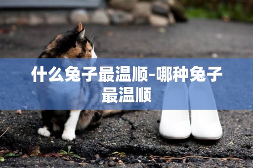 什么兔子最溫順-哪種兔子最溫順