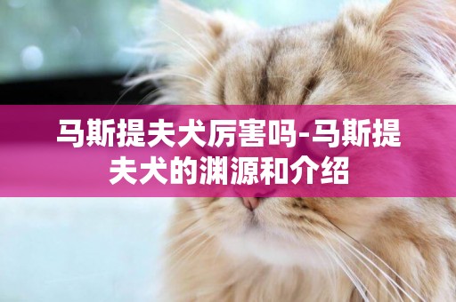 馬斯提夫犬厲害嗎-馬斯提夫犬的淵源和介紹