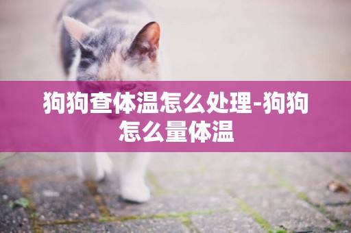 狗狗查體溫怎么處理-狗狗怎么量體溫