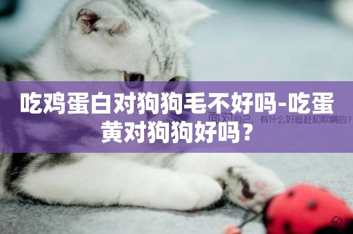 吃雞蛋白對狗狗毛不好嗎-吃蛋黃對狗狗好嗎？