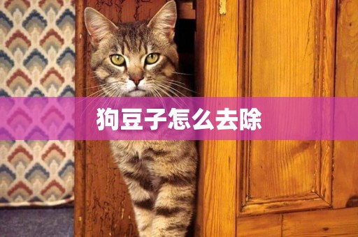 狗豆子怎么去除