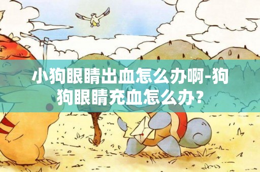 小狗眼睛出血怎么辦啊-狗狗眼睛充血怎么辦？