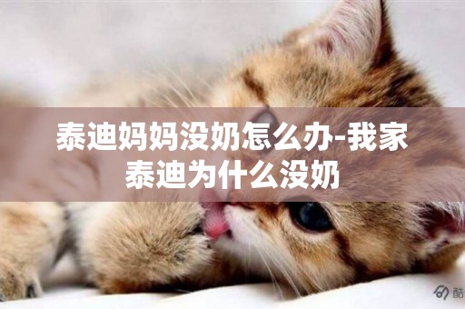 泰迪媽媽沒奶怎么辦-我家泰迪為什么沒奶