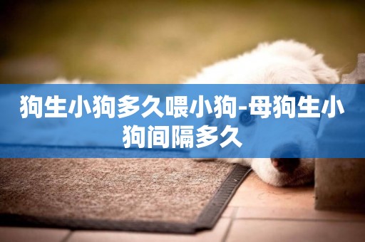 狗生小狗多久喂小狗-母狗生小狗間隔多久