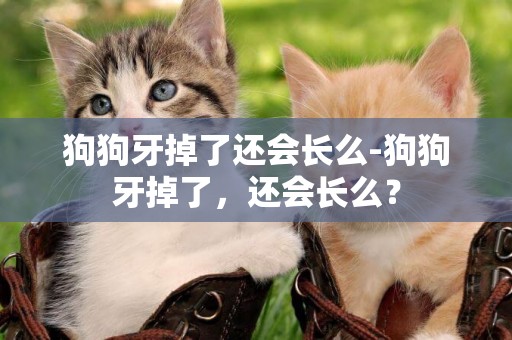 狗狗牙掉了還會長么-狗狗牙掉了，還會長么？