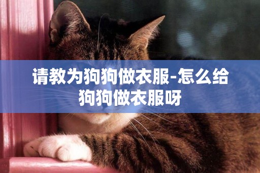 請教為狗狗做衣服-怎么給狗狗做衣服呀