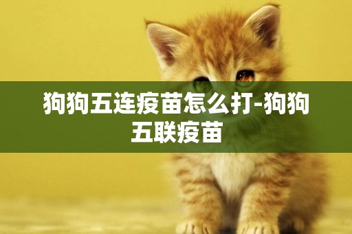 狗狗五連疫苗怎么打-狗狗五聯疫苗