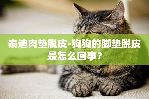 泰迪肉墊脫皮-狗狗的腳墊脫皮是怎么回事？