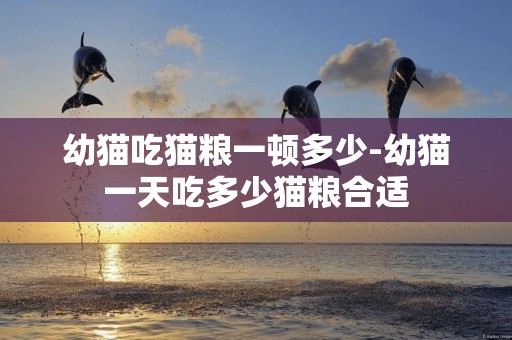 幼貓吃貓糧一頓多少-幼貓一天吃多少貓糧合適