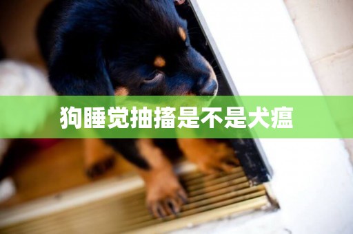 狗睡覺抽搐是不是犬瘟