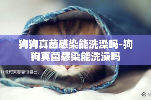 狗狗真菌感染能洗澡嗎-狗狗真菌感染能洗澡嗎