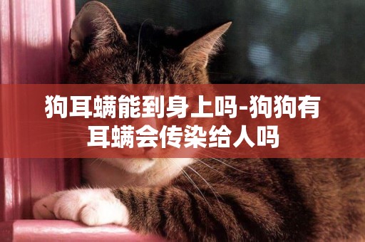 狗耳螨能到身上嗎-狗狗有耳螨會傳染給人嗎