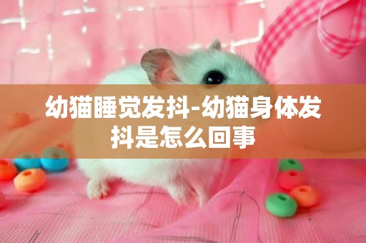 幼貓睡覺發抖-幼貓身體發抖是怎么回事