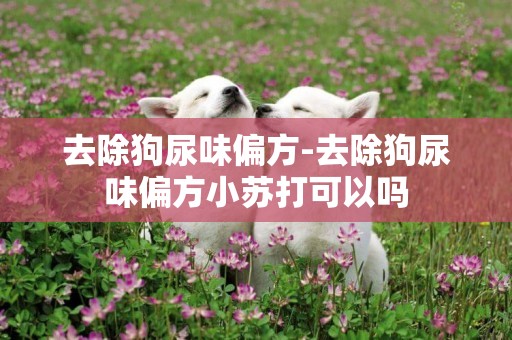 去除狗尿味偏方-去除狗尿味偏方小蘇打可以嗎