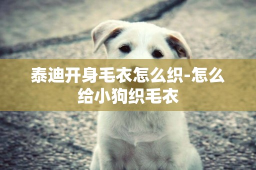 泰迪開身毛衣怎么織-怎么給小狗織毛衣