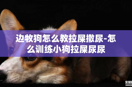 邊牧狗怎么教拉屎撒尿-怎么訓練小狗拉屎尿尿