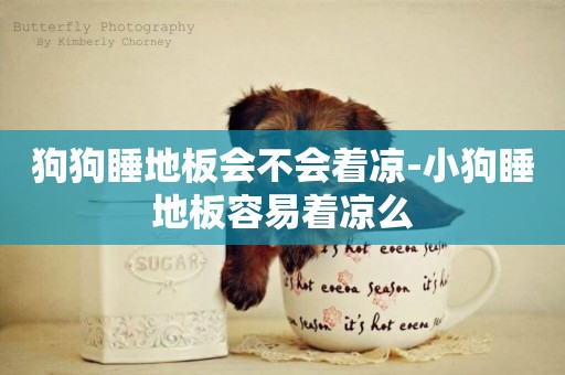 狗狗睡地板會不會著涼-小狗睡地板容易著涼么