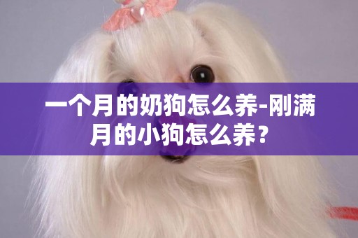 一個月的奶狗怎么養-剛滿月的小狗怎么養？