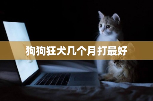 狗狗狂犬幾個月打最好