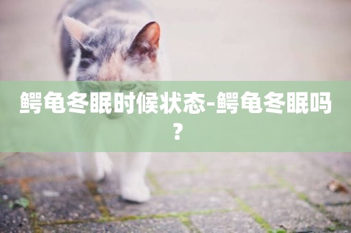 鱷龜冬眠時候狀態-鱷龜冬眠嗎？