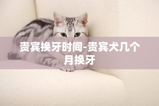 貴賓換牙時間-貴賓犬幾個月換牙