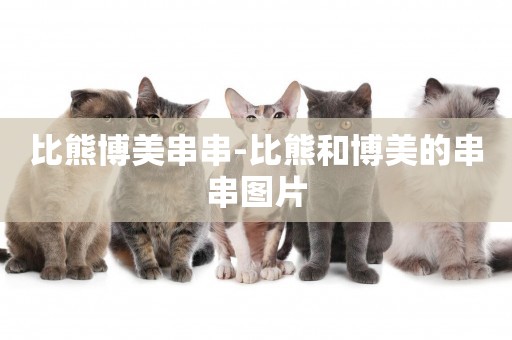 比熊博美串串-比熊和博美的串串圖片