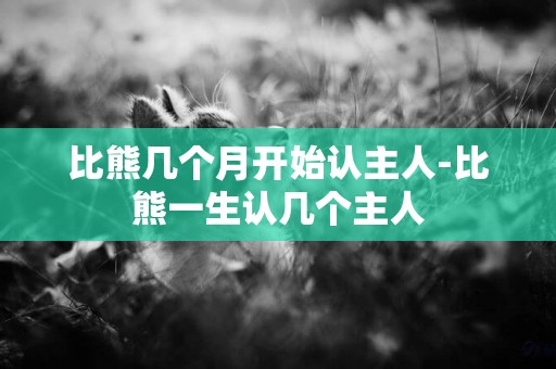 比熊幾個月開始認主人-比熊一生認幾個主人