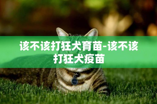 該不該打狂犬育苗-該不該打狂犬疫苗