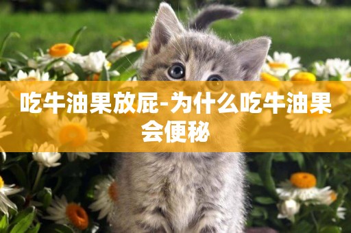 吃牛油果放屁-為什么吃牛油果會便秘