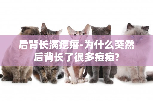 后背長滿疙瘩-為什么突然后背長了很多痘痘?