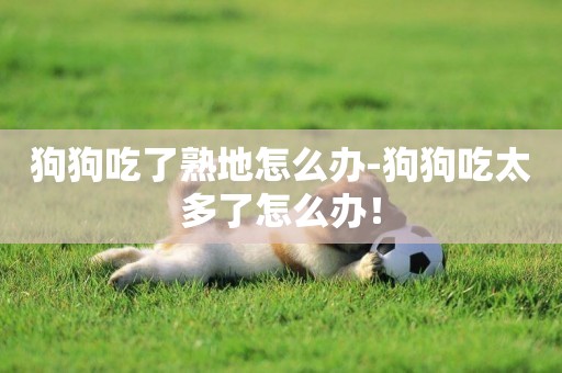 狗狗吃了熟地怎么辦-狗狗吃太多了怎么辦！