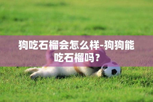 狗吃石榴會怎么樣-狗狗能吃石榴嗎？
