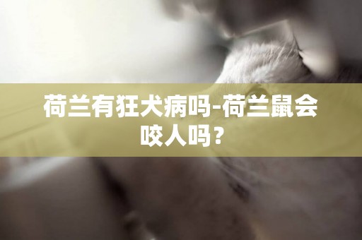 荷蘭有狂犬病嗎-荷蘭鼠會咬人嗎？