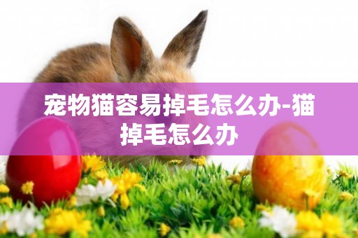 寵物貓容易掉毛怎么辦-貓掉毛怎么辦