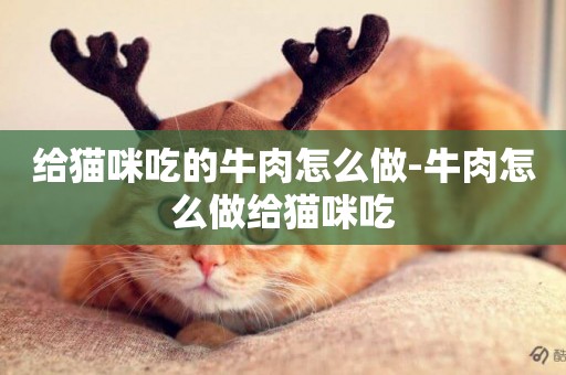 給貓咪吃的牛肉怎么做-牛肉怎么做給貓咪吃