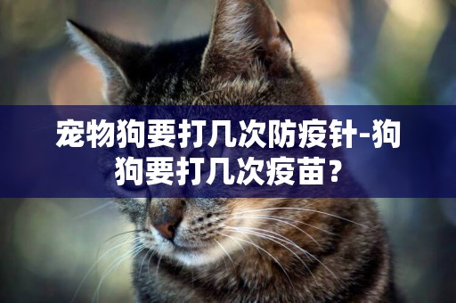 寵物狗要打幾次防疫針-狗狗要打幾次疫苗？